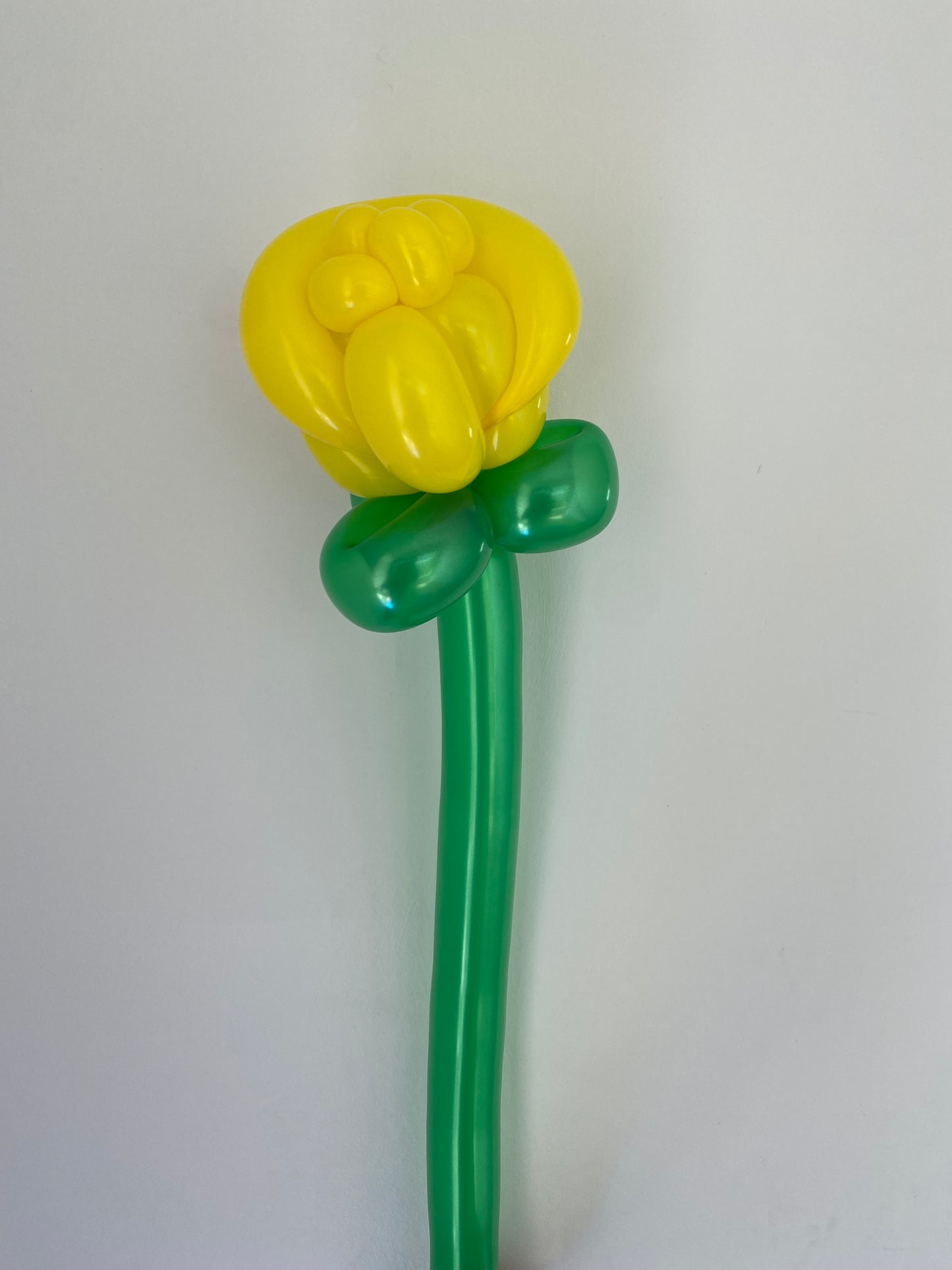 Balloon Bouquet
