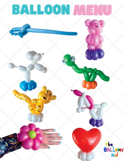 2 hours of balloon twisting - private parties / kids birthdays