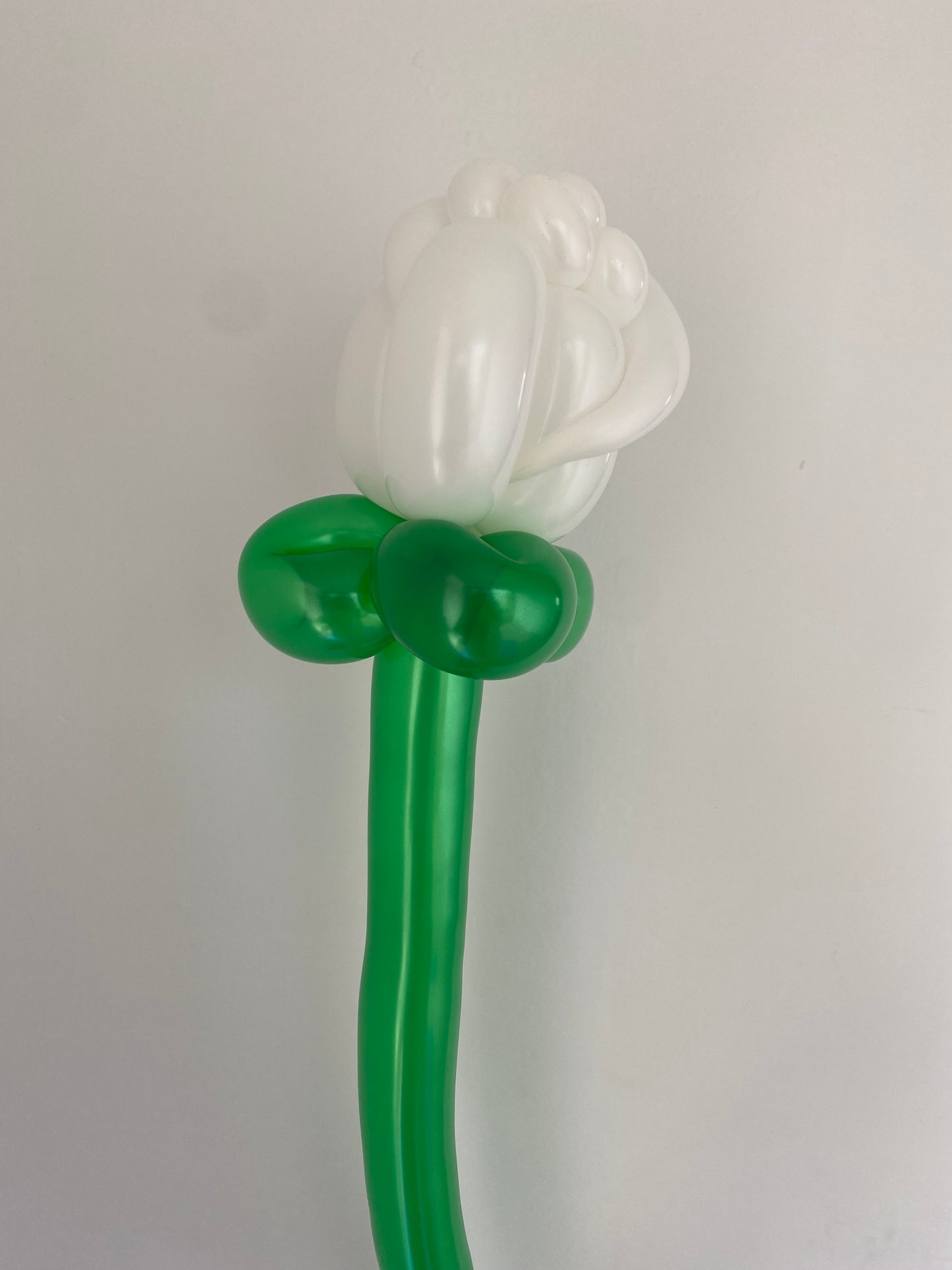 Balloon Bouquet